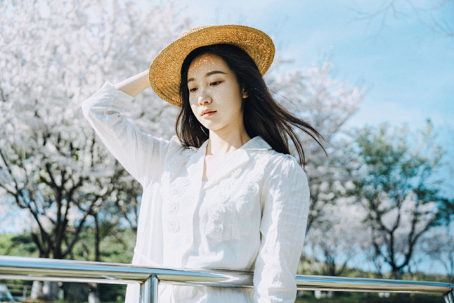 染井吉野 - Justinone - C...