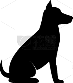 wuli蚊蚊采集到猫猫狗狗素材