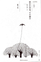 tis-tamae-mizukami-medium (4)