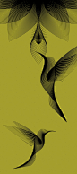 意大利设计师Andrea Minini用简约单色线条描绘的动物图案 - 蜂鸟