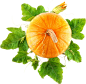 Pumpkin PNG image