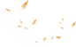 birds1.png (384×235)