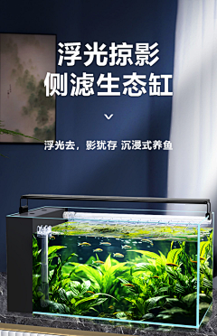 ˋZL采集到鱼缸详情