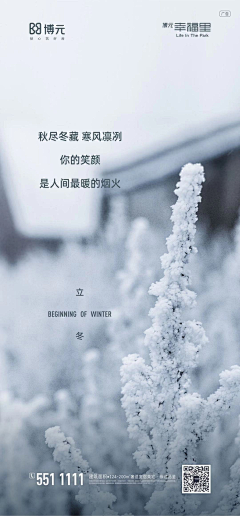 蜗牛的人生采集到节气