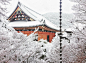 冬天的京都 - 风光摄影 - CNU视觉联盟