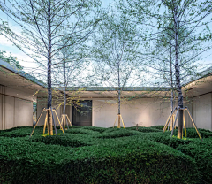 黎柒子采集到植物空间