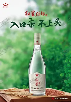 纯粮兼香 【酷图网】红星二锅头,北京二锅头,绿色背景,清新背景,夏天,夏季,小麦,麦穗,52,度,高级清香型,牛栏山,红色,酒,白瓶,7年,5年,10年,陈酿,设计,海报,广告设计,喷绘,宣传画,包装,LOGO,标签,广告,海南版,海报设计星,二锅头,白酒,纯酿,兼香白酒,素材,专用酒,