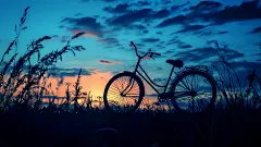penelopedavis841148_The_silhouette_of_an_old-fashioned_bicycle__60209c25-5490-47fb-965b-5cd12c0ea71e
