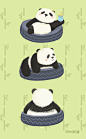 熊猫系列 - 默酱 - 原创作品 - 视觉中国(shijueME)