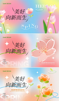 用户0ZvECPVn采集到banner