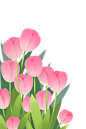 4duoyuvn9muuvn2nmhmvv4dpduponkhv