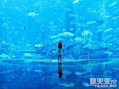 求鸿运！QQ常被盗采集到海底