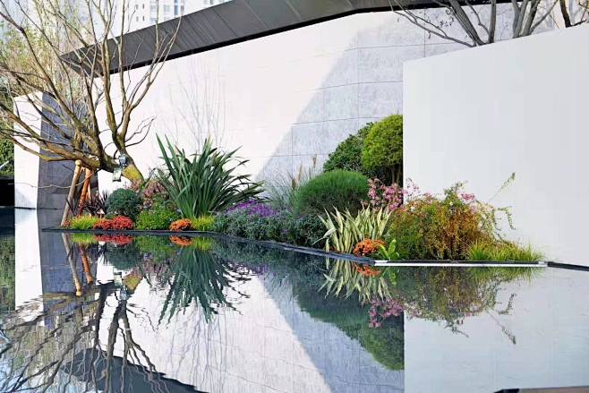 背景墙角、水景前花镜