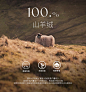 南瓜谷 高奢首发100Cashmere山羊绒大衣 15μm双面毛呢外套MN0419-淘宝网