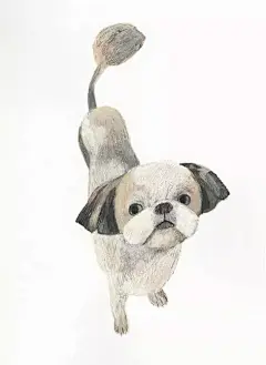 插画｜生活 本来的样子 : 日本插画家/刺绣艺术家 早川靖子 Hayakawa Yasuko 毕业于 嵯峨美術短期大学染織科，1998年参加三丽鸥诗与童话（サンリオ詩とメルヘン）获得佳作奖。