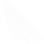 11 (1)