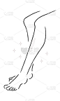 脱毛插图。美丽的女性的腿。