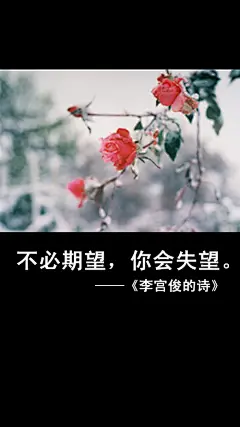李宫俊的诗文字图片、文字美图、唯美图片、文字控头像、文字控壁纸、手机桌面壁纸、手机壁纸大全、iphone6 plus壁纸 (84)