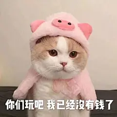 想要一些缺钱的表情包 ​​​​