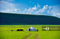 内蒙古自治区,草原,呼伦贝尔,蒙古包,非都市风光正版图片素材