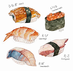 秋大侠采集到食物插画