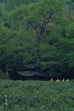 清秋湖南采集到旅游画册