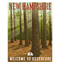 Retro style travel poster or sticker. United States, New Hampshire forest.