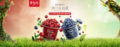 合成首焦魔幻森林果汁水果海报