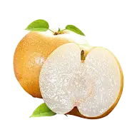 梨灵感图 2