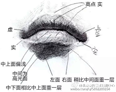 白鹿猿采集到素描人像结构