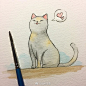 可爱的喵喵~【插画师：loststreetkat】 ​（转）via @儿童画教程 ​​​​