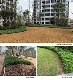 Himify采集到苗木