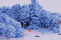 3D forest FOX ILLUSTRATION  lowpoly Magicavoxel Pixel art snow voxel voxelart