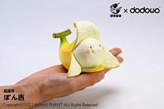 朴昌饭采集到美