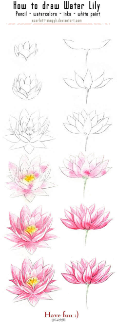 6h83kRfY采集到动植物插画
