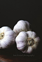 Garlic - Knoflook