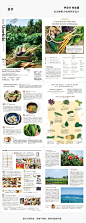 #灵感的诞生#54种精美图文排版形式！日本美食杂志Umekiki内页排版，风格非常怡人