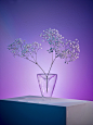 Da Vetro: A Collection of Glass Vessels Inspired by Gestures and Postures : Designed by Fabrica Research Center in Italy for PLEASE DO NOT ENTER, Da Vetro is a limited edition glass collection of vases, carafes and containers that are inspired by human ge