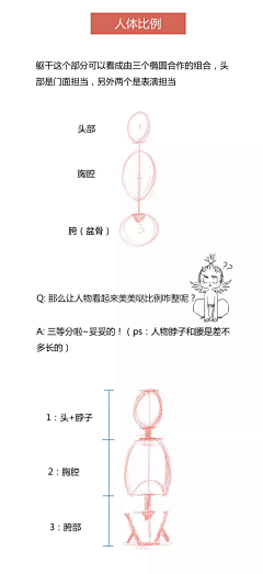 一吖~采集到A-人体结构
