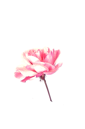 1008895423e83c5c72