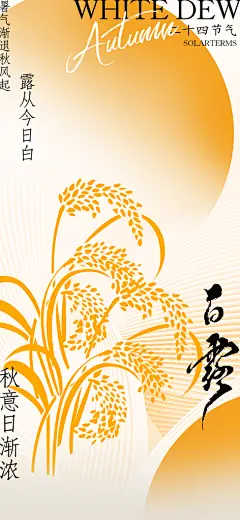 白露节气简约海报