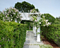 Cape Cod Home Chatham, Massachusetts : The landscape architecture for this traditional Cape Cod home in Chatham MA has the iconic characteristics residents love about coastal living in New England.    The chip seal driveway has a