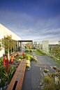 Architectural photographer based in Melbourne Australia www.patrickredmond.com.au Penthouse garden…designed and built by Ecoform of Victoria.