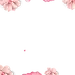 花朵 框架 装饰元素免抠png图片壁纸