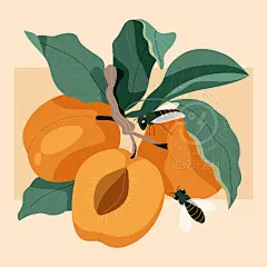 手绘水果草莓香蕉橙子柠檬芒果桃子包装插画海报ai矢量设计素材-淘宝网