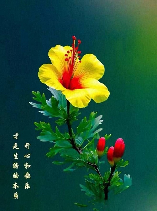 来自相册