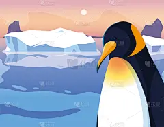 北极,企鹅,北极点,地形,深的,气候,寒冷,濒危物种,贺卡,环境