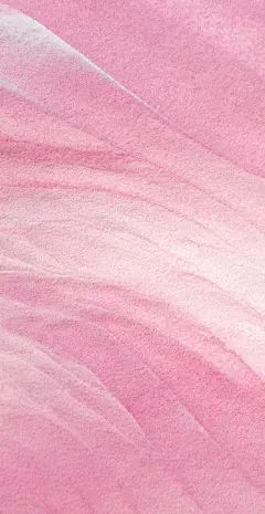 手机壁纸 / Max渐变 / 肌理 / 背景 。60000张优质采集：优秀排版参考 / 摄影美图 / 视觉大片提升审美。@Javen_设计