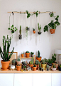 “I wanted more plants even though I had no more places for them,” Maria tells us. She considered using the window ledges, but realized that would block the light to her other plants and make opening the windows difficult. So instead, she utilized the wall