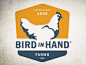bird hand 小鸡图形logo设计